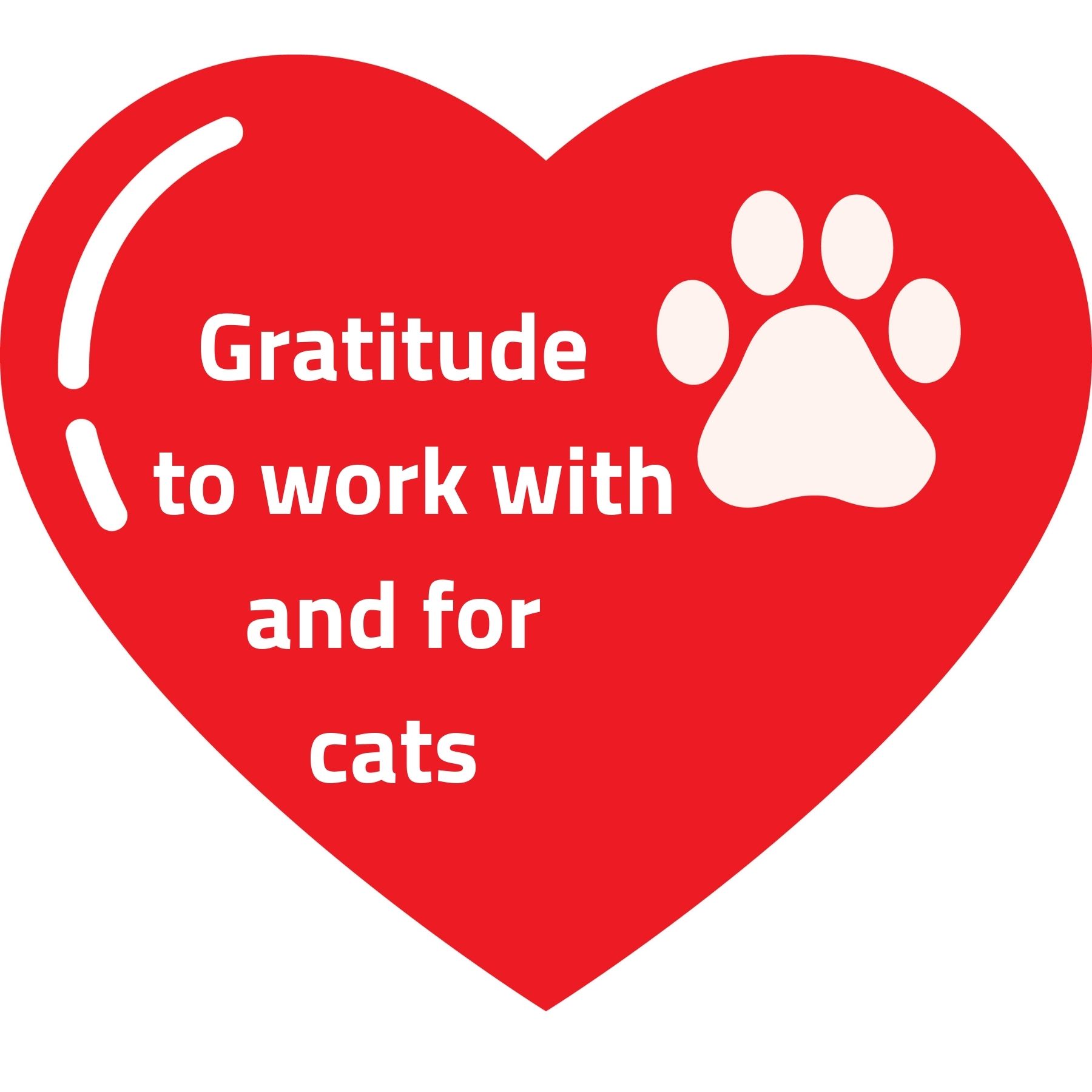 Vocation cat psychologist and animal homoeopath for which I am very grateful
